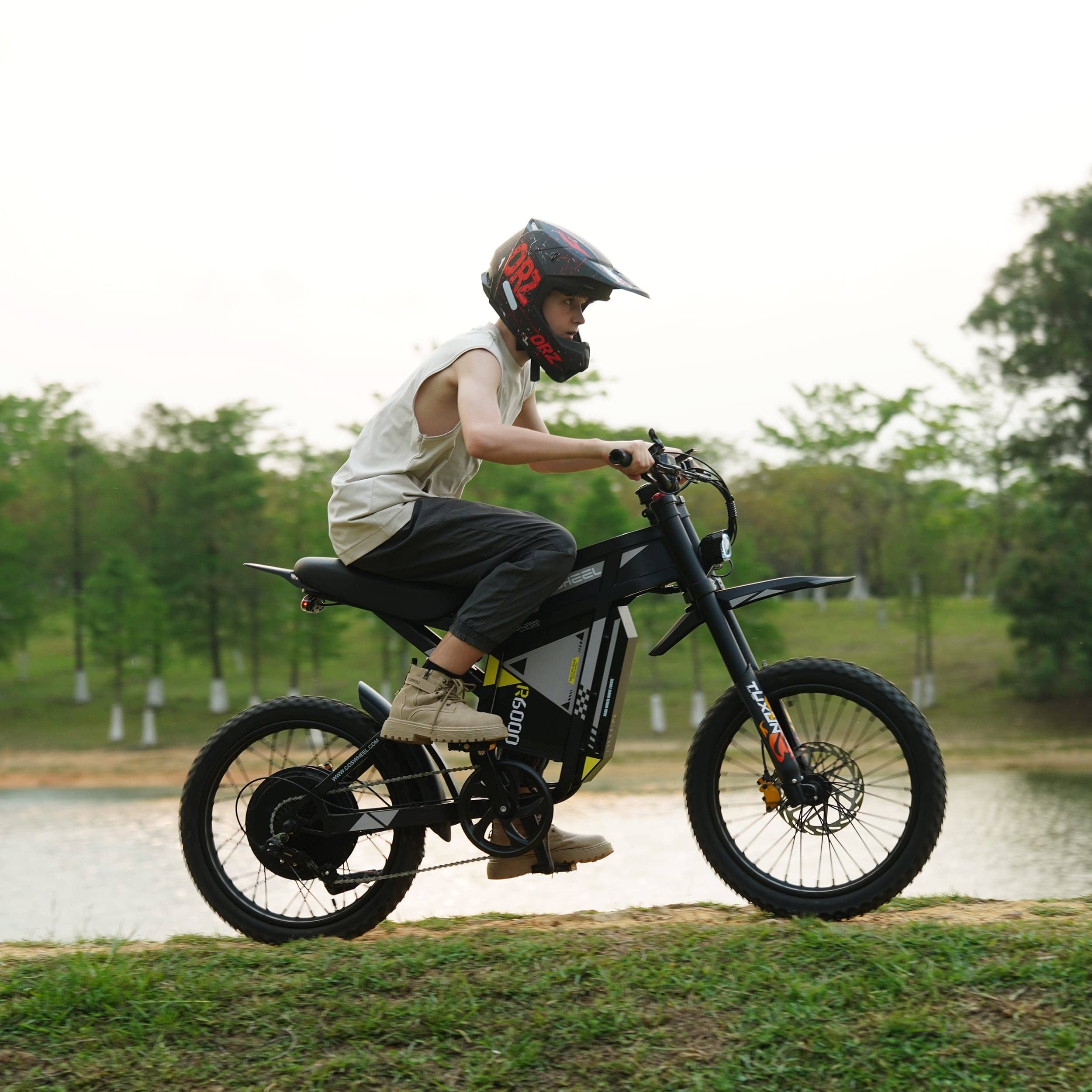 R6000 Dirt Ebike - Image 3