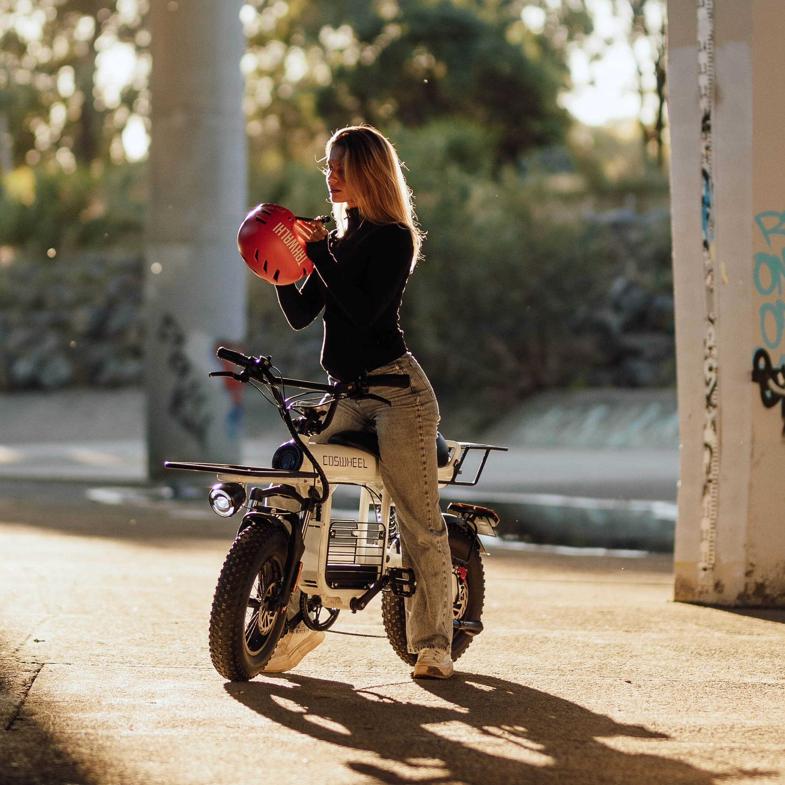 T16 Ebike - Image 3